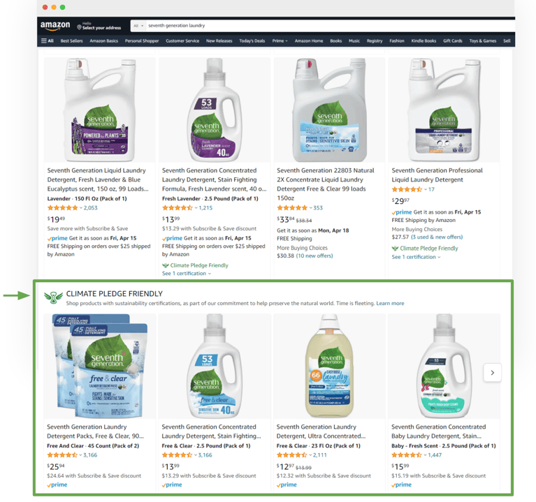 Amazon_Eco 3