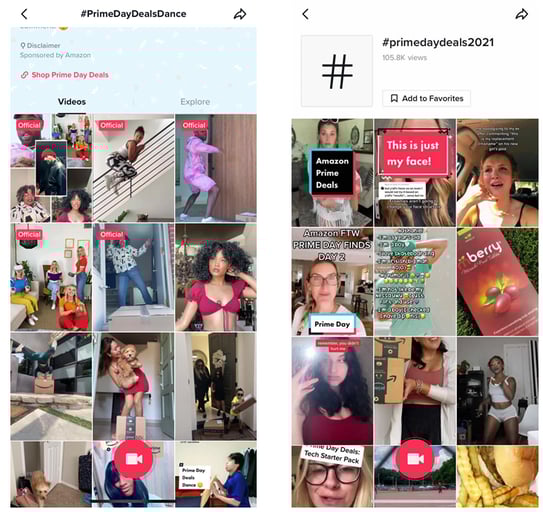 PD blog_TikTok