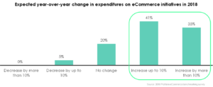 eCommerce capability expenditures