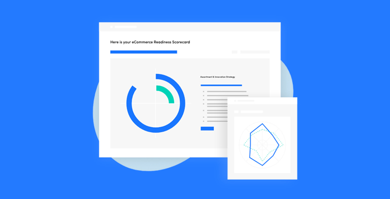 The eCommerce Readiness Assessment