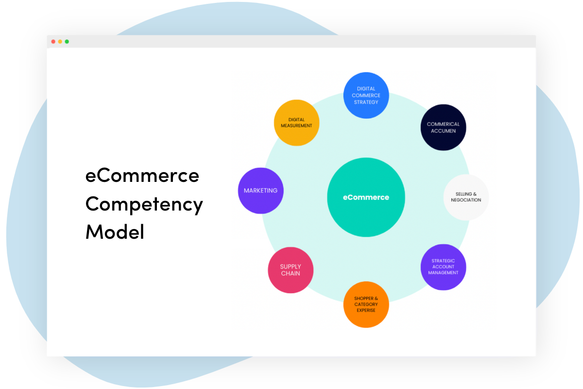 eCommerce Competency Model example